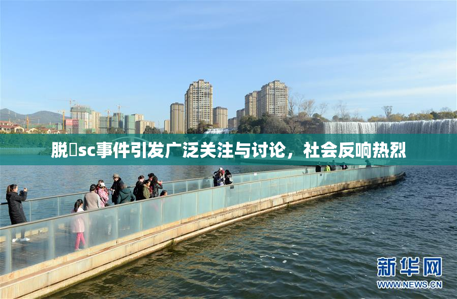 脱糞sc事件引发广泛关注与讨论，社会反响热烈