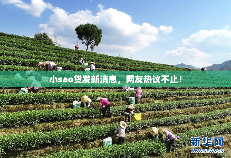 小sao货发新消息，网友热议不止！