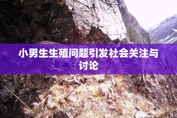 小男生生殖问题引发社会关注与讨论
