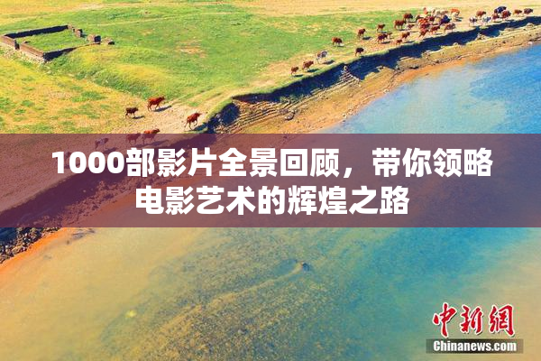 1000部影片全景回顾，带你领略电影艺术的辉煌之路