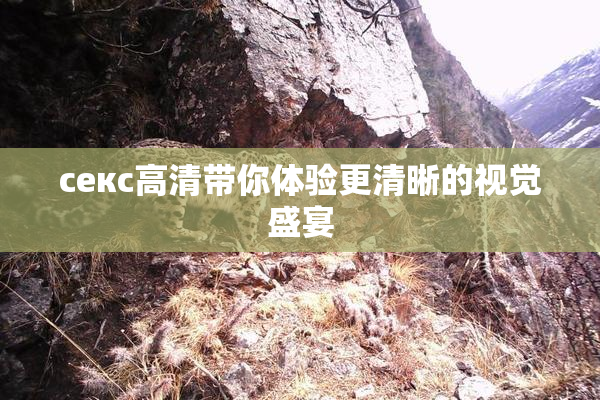 ceкс高清带你体验更清晰的视觉盛宴