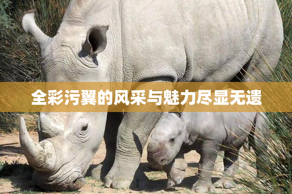 全彩污翼的风采与魅力尽显无遗