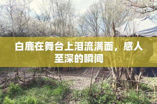 白鹿在舞台上泪流满面，感人至深的瞬间