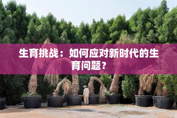生育挑战：如何应对新时代的生育问题？