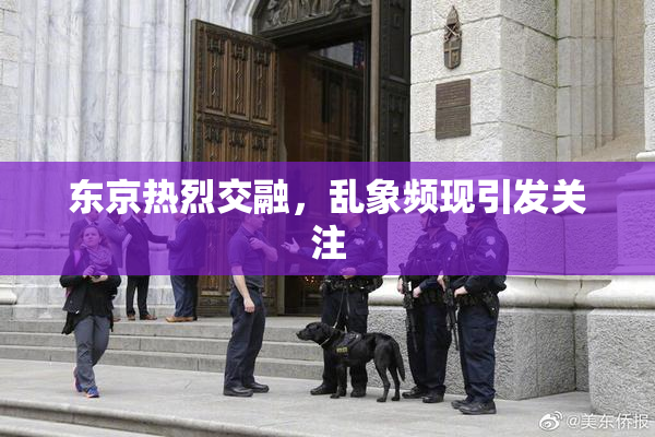东京热烈交融，乱象频现引发关注