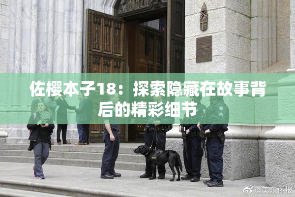 佐樱本子18：探索隐藏在故事背后的精彩细节