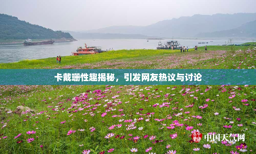 卡戴珊性趣揭秘，引发网友热议与讨论