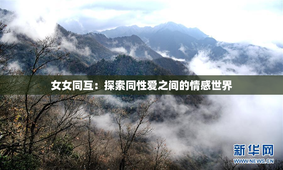 女女同互：探索同性爱之间的情感世界
