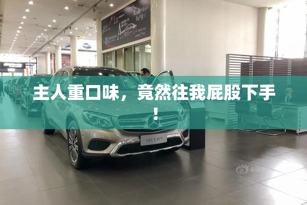 主人重口味，竟然往我屁股下手！