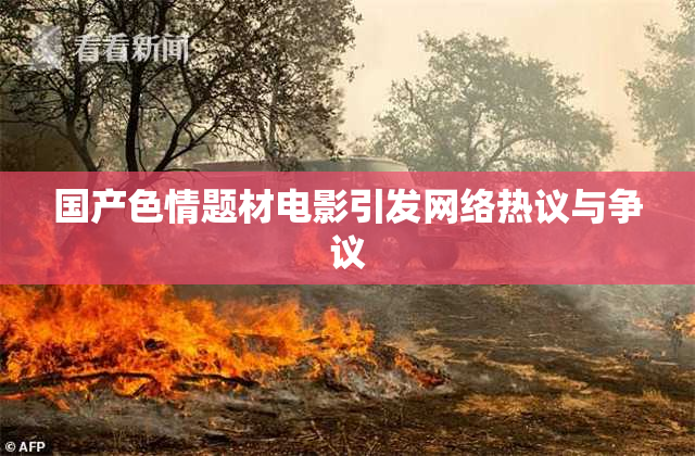国产色情题材电影引发网络热议与争议
