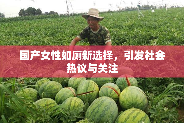 国产女性如厕新选择，引发社会热议与关注