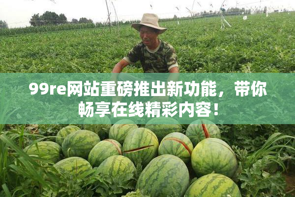99re网站重磅推出新功能，带你畅享在线精彩内容！