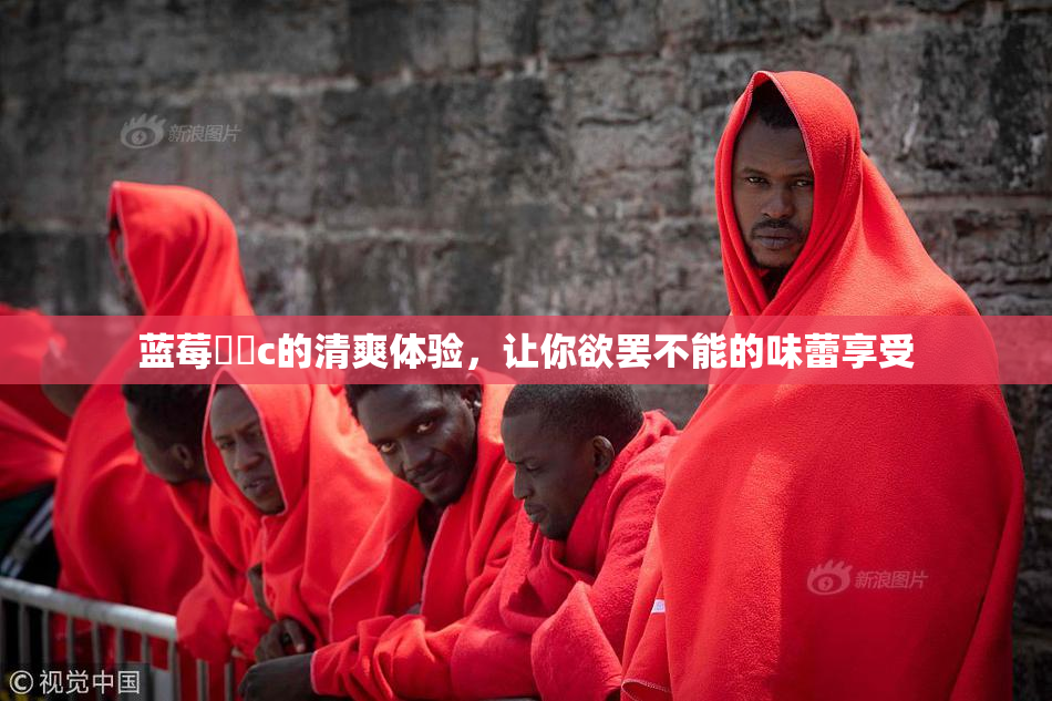 蓝莓❌‌c的清爽体验，让你欲罢不能的味蕾享受