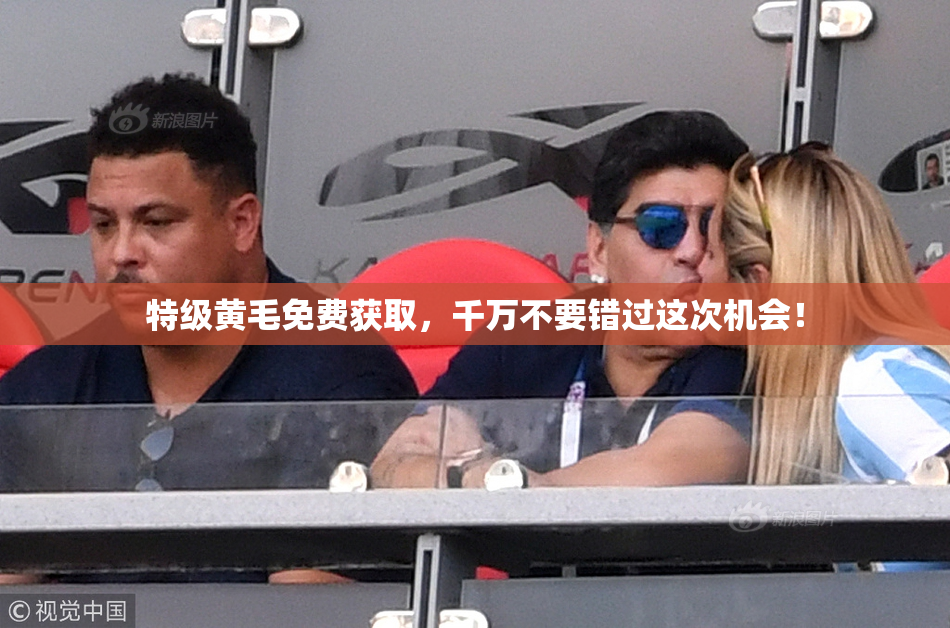 特级黄毛免费获取，千万不要错过这次机会！