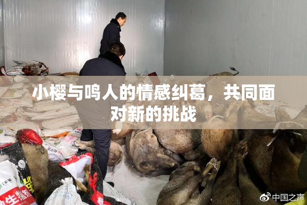 小樱与鸣人的情感纠葛，共同面对新的挑战