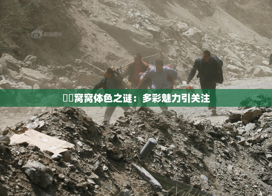 妺妺窝窝体色之谜：多彩魅力引关注