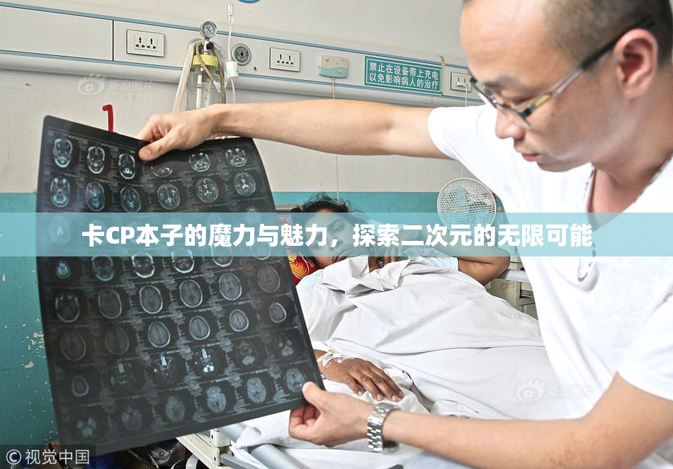 卡CP本子的魔力与魅力，探索二次元的无限可能