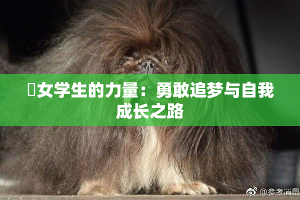 巜女学生的力量：勇敢追梦与自我成长之路