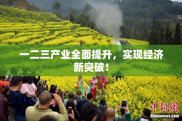 一二三产业全面提升，实现经济新突破！