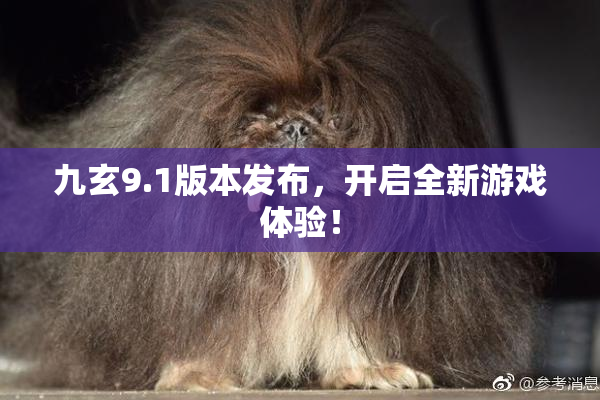 九玄9.1版本发布，开启全新游戏体验！