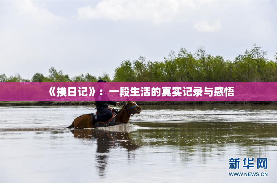 《挨日记》：一段生活的真实记录与感悟