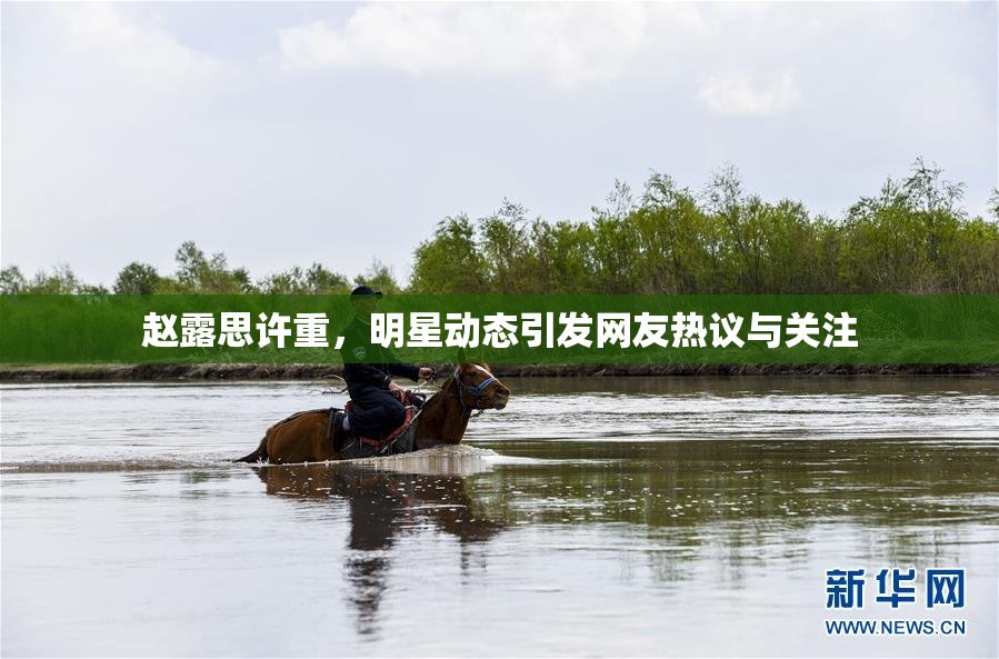 赵露思许重，明星动态引发网友热议与关注