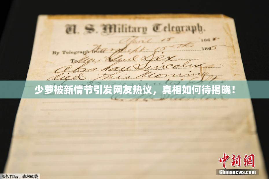 少萝被新情节引发网友热议，真相如何待揭晓！