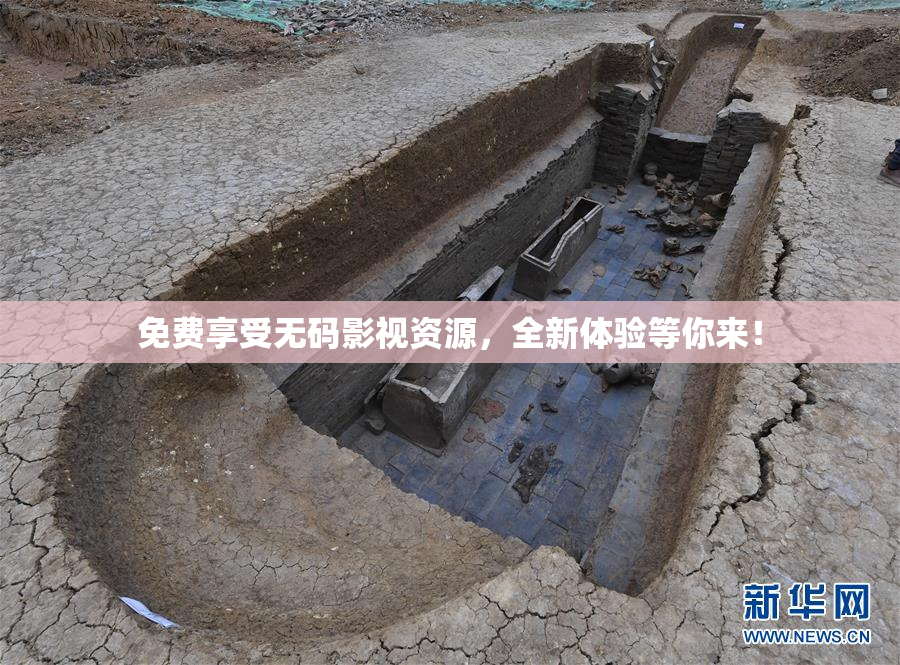 免费享受无码影视资源，全新体验等你来！