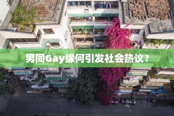 男同Gay缘何引发社会热议？