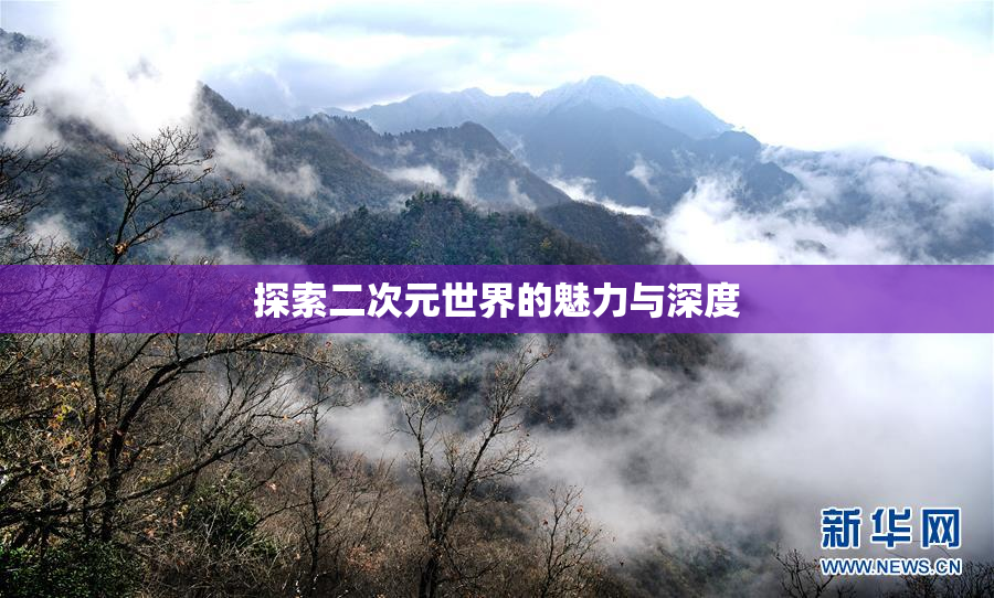 探索二次元世界的魅力与深度