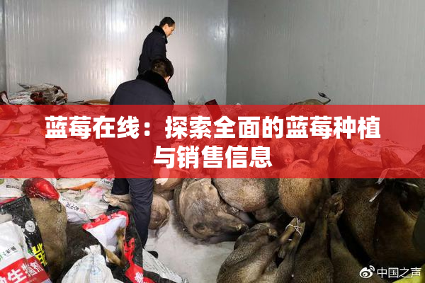 蓝莓在线：探索全面的蓝莓种植与销售信息