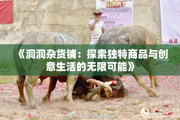 《洞洞杂货铺：探索独特商品与创意生活的无限可能》