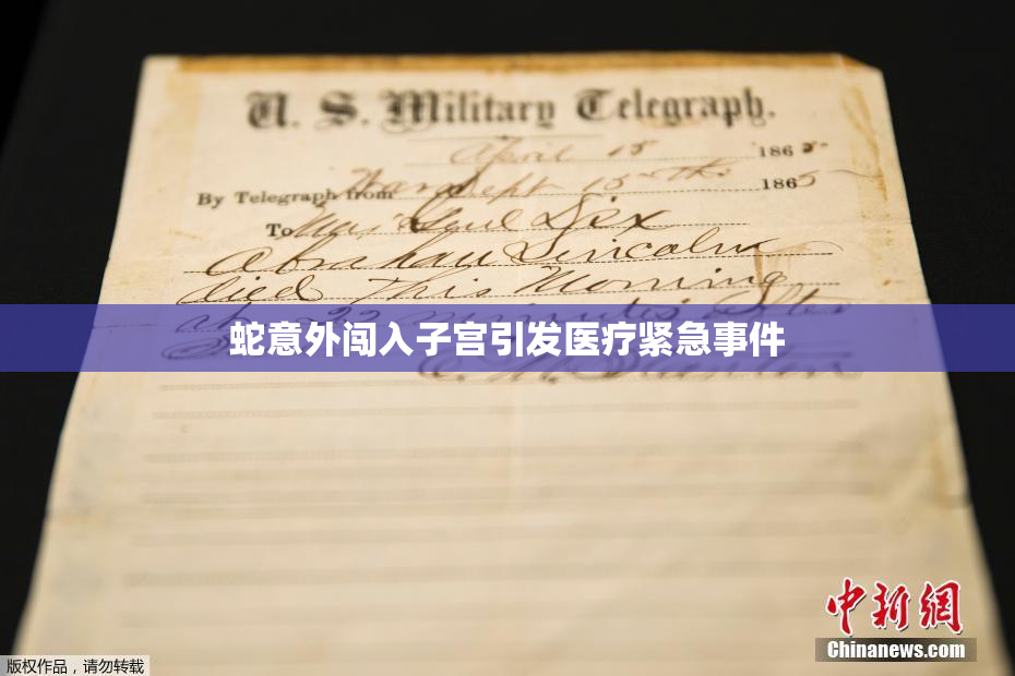 蛇意外闯入子宫引发医疗紧急事件