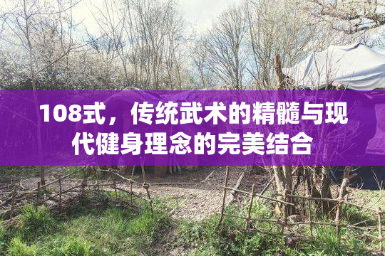 108式，传统武术的精髓与现代健身理念的完美结合