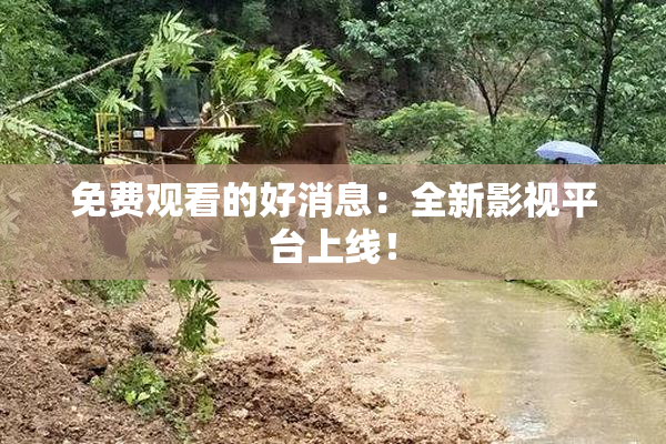 免费观看的好消息：全新影视平台上线！