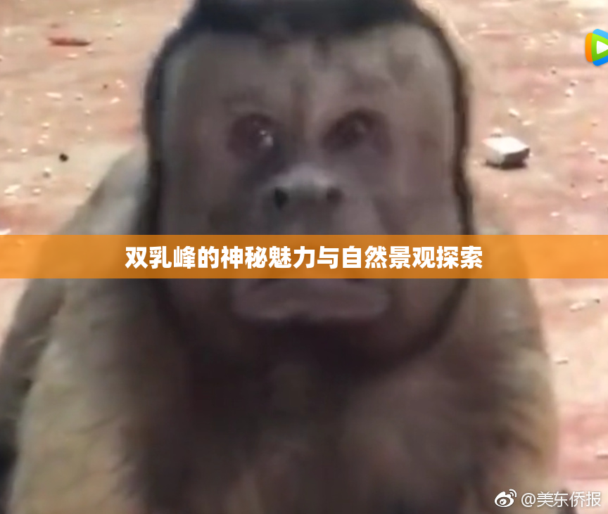 双乳峰的神秘魅力与自然景观探索