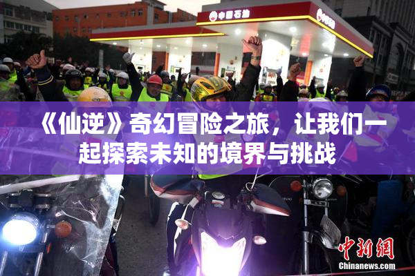 《仙逆》奇幻冒险之旅，让我们一起探索未知的境界与挑战