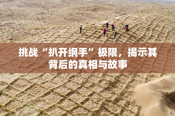 挑战“扒开纲手”极限，揭示其背后的真相与故事