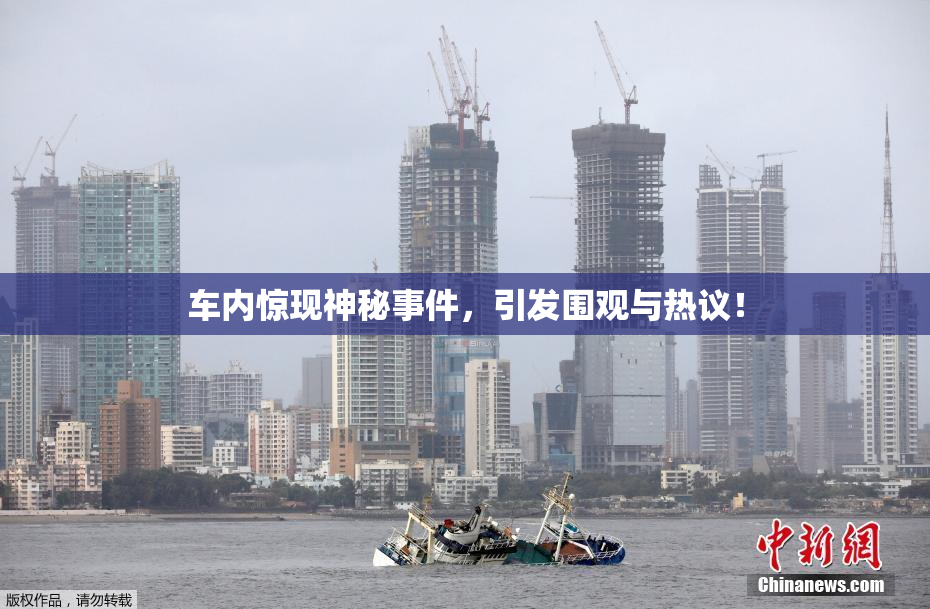 车内惊现神秘事件，引发围观与热议！