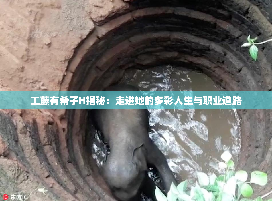 工藤有希子H揭秘：走进她的多彩人生与职业道路