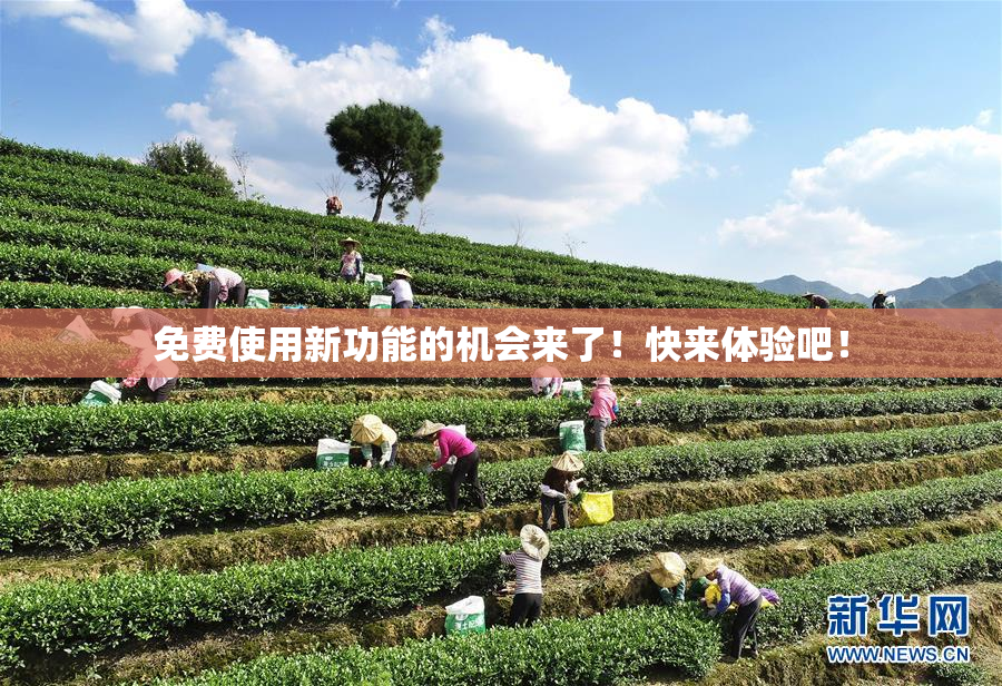 免费使用新功能的机会来了！快来体验吧！