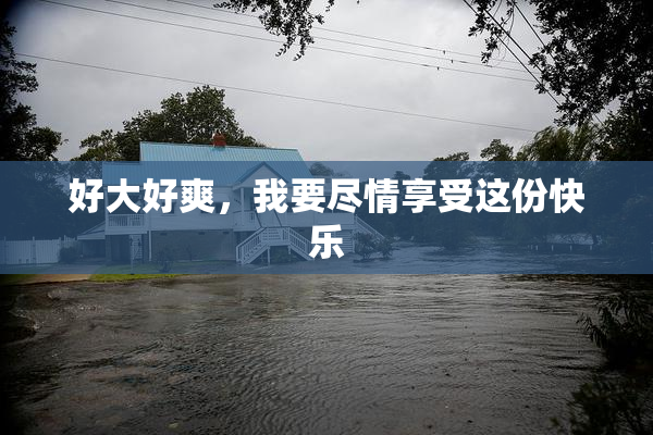 好大好爽，我要尽情享受这份快乐