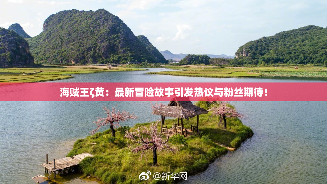 海贼王ζ黄：最新冒险故事引发热议与粉丝期待！