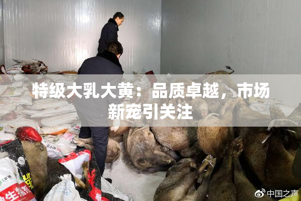 特级大乳大黄：品质卓越，市场新宠引关注