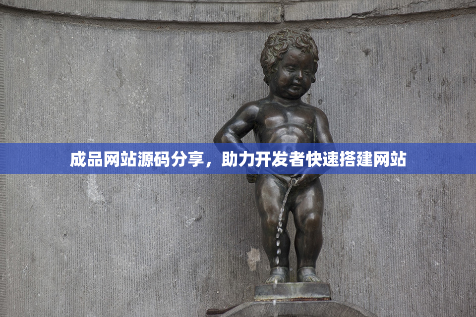 成品网站源码分享，助力开发者快速搭建网站