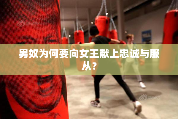 男奴为何要向女王献上忠诚与服从？