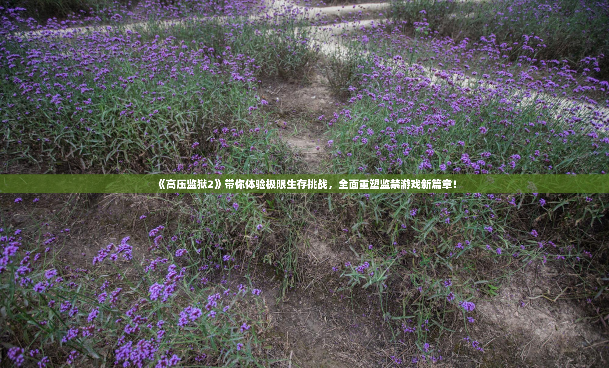 《高压监狱2》带你体验极限生存挑战，全面重塑监禁游戏新篇章！
