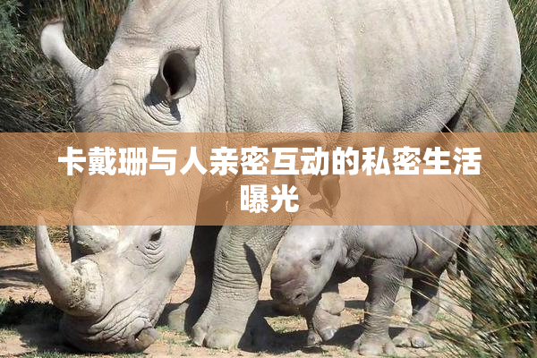 卡戴珊与人亲密互动的私密生活曝光