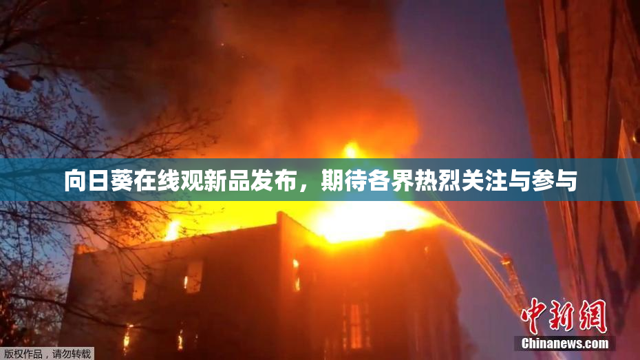 向日葵在线观新品发布，期待各界热烈关注与参与