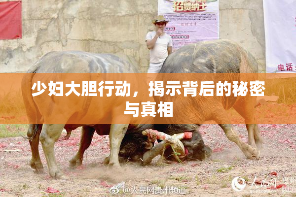 少妇大胆行动，揭示背后的秘密与真相